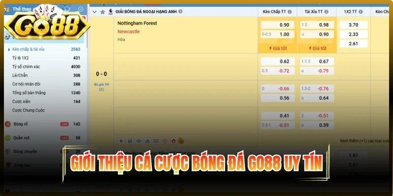 Giới thiệu cá cược bóng đá Go88